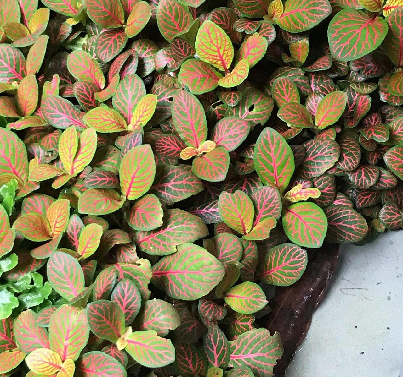 347983e4 4b1d 47e9 bf19 d79b576b2891