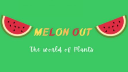 Melon Out